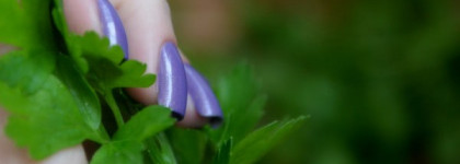 Dance Legend - Malta - 84