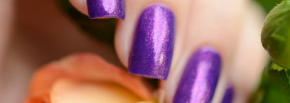 El Corazon - 423/554 Magic Attraction