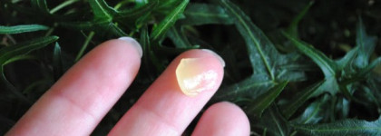 Переход на Darphin