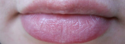 Pupa Lip Perfection Natural Shine #05 - война или мир?