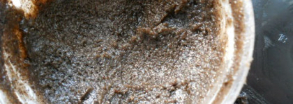 Натуральные вкусности для тела от Organic Shop и Savonry