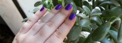 Фиолетовый вырвиглаз Dance Legend 031