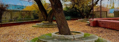 Molinard Rose Turkia EDP - аромат шиповника, который тоже роза