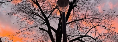 Molinard Rose Turkia EDP - аромат шиповника, который тоже роза