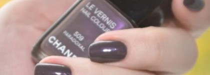 Мой ручной "Парадоксаль"