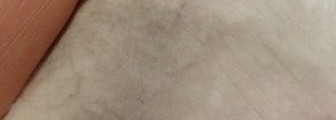 Два скраба от Lush: прекрасный и ужасный