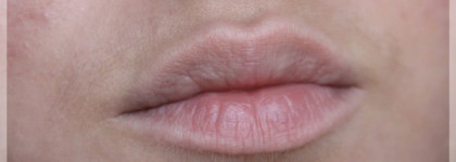 Chanel Rouge Coco Shine № 447 "En Vogue" (Summer 2012)