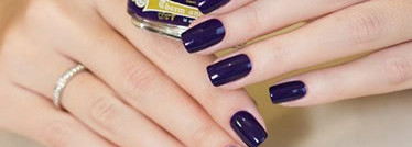 El Corazon "Charm and beauty" №896