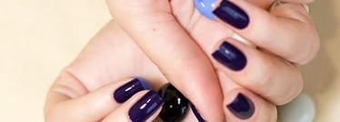 El Corazon "Charm and beauty" №896