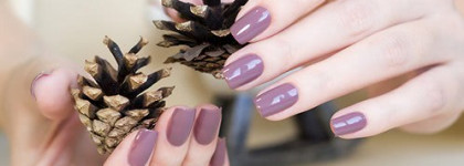 El Corazon - Charm and Beauty №874