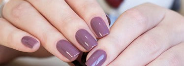 El Corazon - Charm and Beauty №874