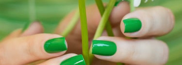 Jessica "Mint Mojito Green" & Топ Dance Legend "Aztec" №4