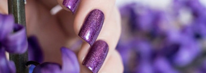 Picture pOlish "Hussy"