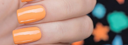 Picture pOlish - Urban. Лето 2014