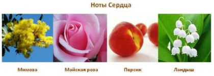 Волшебный шипр Soir de Lune by Sisley