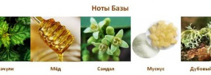 Волшебный шипр Soir de Lune by Sisley