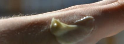 Мой скромный уход