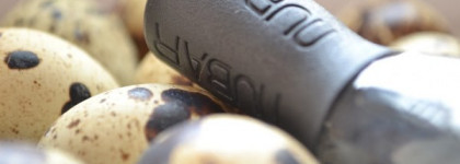 Перепелиные яйца от  Nubar G715  Black Polka DOT