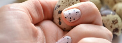 Перепелиные яйца от  Nubar G715  Black Polka DOT