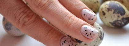 Перепелиные яйца от  Nubar G715  Black Polka DOT