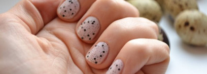 Перепелиные яйца от  Nubar G715  Black Polka DOT