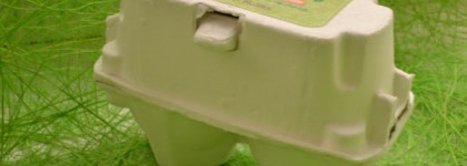 Holika Holika Green Tea  Egg Soap