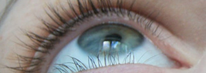 Guerlain Le2 de Guerlain Mascara noir 2 noir тушь для ресниц, спорное мнение