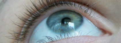 Дешево и сердито. Черна тушь Eva Mosaic Extreme Fashion Lashes