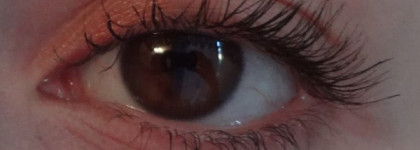 Обзор моих тушей за прошедшие 5 лет: Maybelline, L'oreal, Essence и необычная Belweder