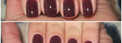 Осеняя слива GR#104