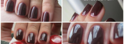 Осеняя слива GR#104