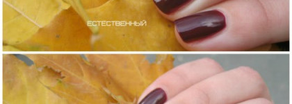 Осеняя слива GR#104