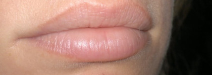 Givenchy Le Rouge Lipstick Rose D` Exception