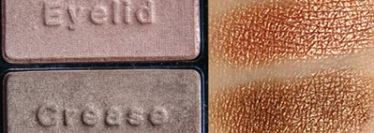 Находка 2013 года  Wet n Wild Color Icon Collection Eyeshadow Comfort Zone 738