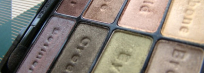 Находка 2013 года  Wet n Wild Color Icon Collection Eyeshadow Comfort Zone 738