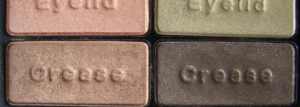 Находка 2013 года  Wet n Wild Color Icon Collection Eyeshadow Comfort Zone 738