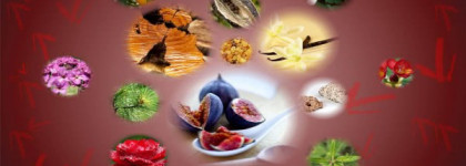 Valentino V Absolu - моя любовь