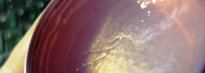 Улитки на ваших губах - это прекрасно! Tonymoly Prestige Snail Lip Treatment