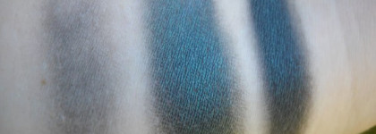 Бутылочная зелень от Bourjois ombre a paupieres 07 Noir emeraude