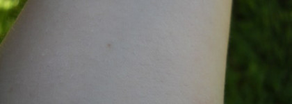 Матирующая парочка - Essence Fix&Matte translucent loose powder и Avon Colortrend oil control translucent powder