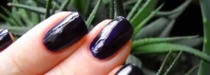 Раскрасим осень чернилами с Dance Legend №402, коллекция Trend