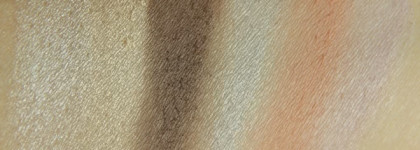 Sleek I-Divine Eyeshadow Palette in Nordic Skies