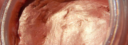 MAC Paint Pot Rubenesque