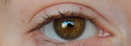 Новинка этой весны - Bourjois Healthy Mix Concealer Anti-fatigue Anticernes в оттенке №51 Light. Улучшили ли старый добрый Healthy Mix?