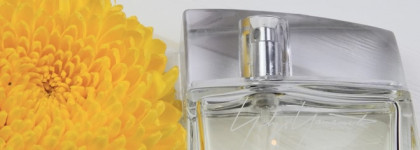 Yohji Yamamoto Pour femme. Японская акварель для уютной осени