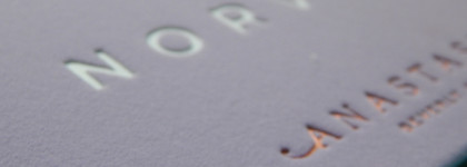 Новинка этого лета Anastasia Beverly Hills Norvina