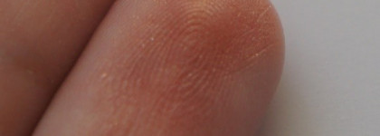 Guerlain Terracotta Light Sheer Bronzing Powder 04 Sun Blondes