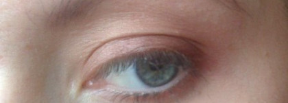 Мои осенние покупки: Guerlain Ecrin 4 Couleurs Long-Lasting Eyeshadows в оттенке #14 Les Fauves и Dior 5 Couleurs Eyeshadow Palette в оттенке Khaki design