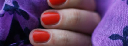 Тропики в вечной мерзлоте? Легко! Вместе с Dior Aloha 638