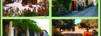 Тенистые сады и скошенная трава в аромате Jardins de Kerylos от Parfumerie Generale